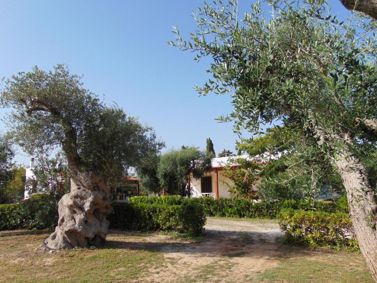 Agriturismo Villa Tommaso 托里德欧索 外观 照片