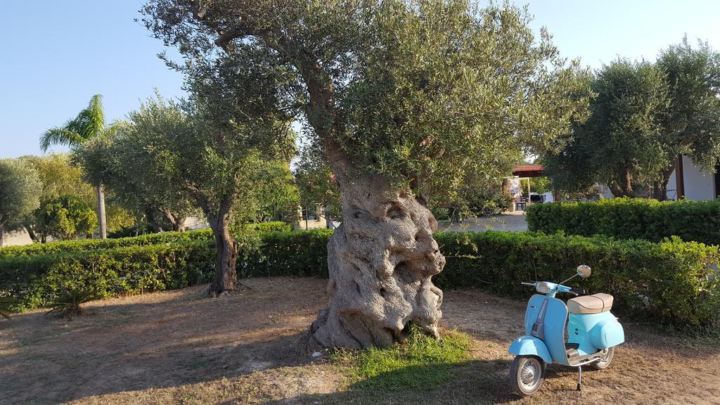 Agriturismo Villa Tommaso 托里德欧索 外观 照片